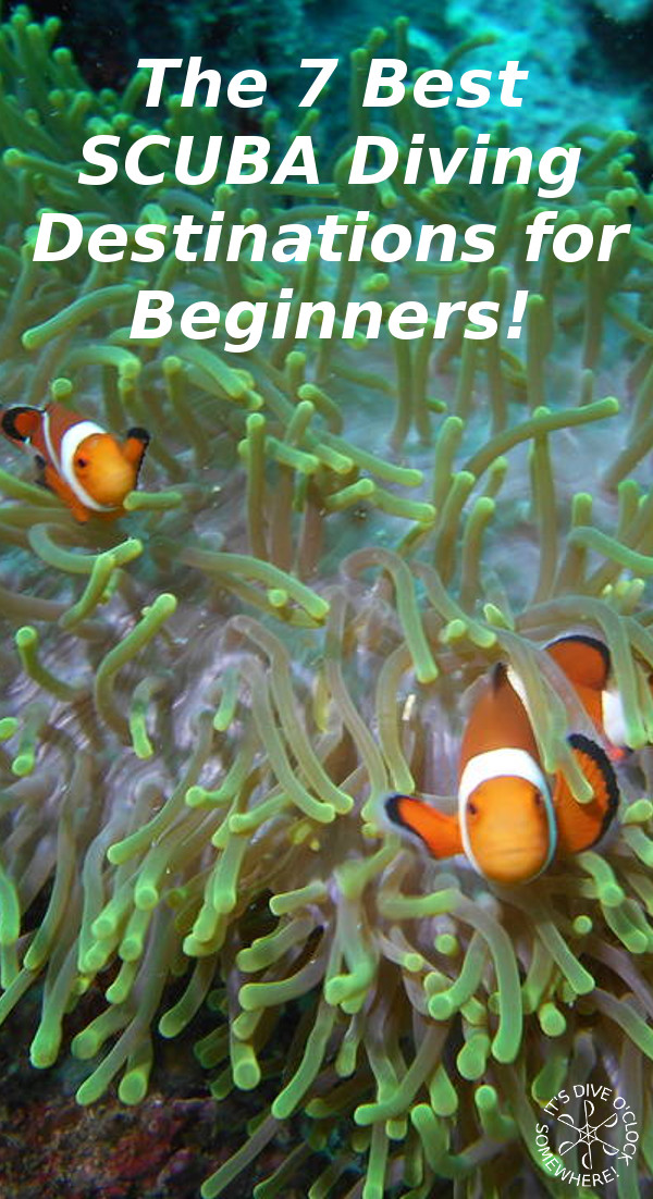 The 7 Best SCUBA Diving Destinations for Beginners!