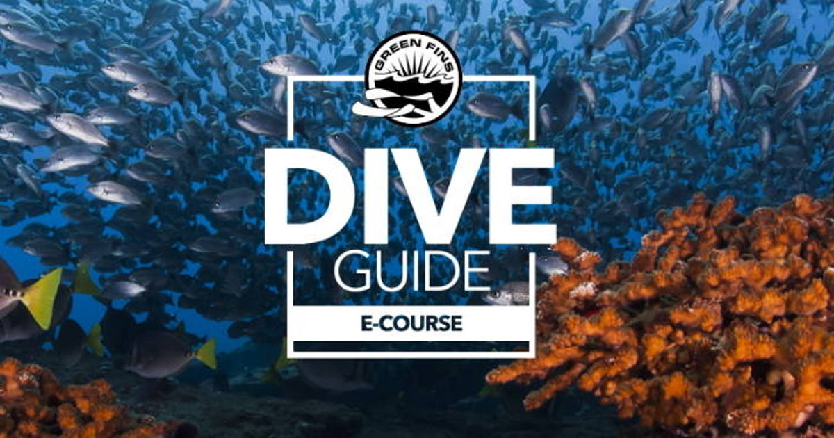 green_fins_dive_guide