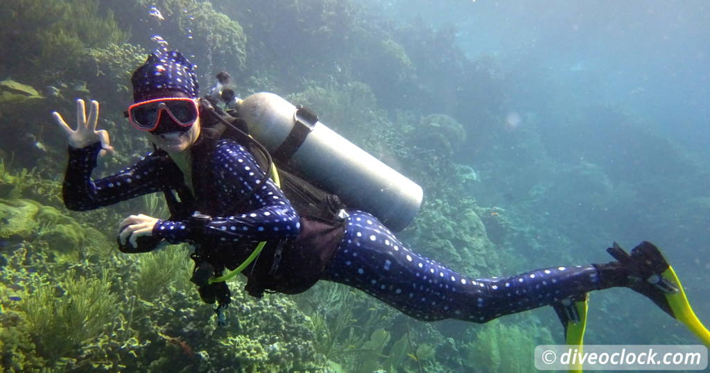 The 7 Best SCUBA Diving Destinations for Beginners   Blog SCUBA Diving
