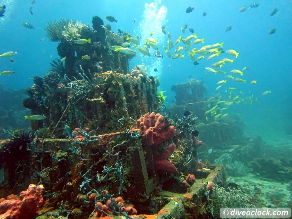 Amed One of Bali S Best Dive Destinations Indonesia  Bali Amed 30