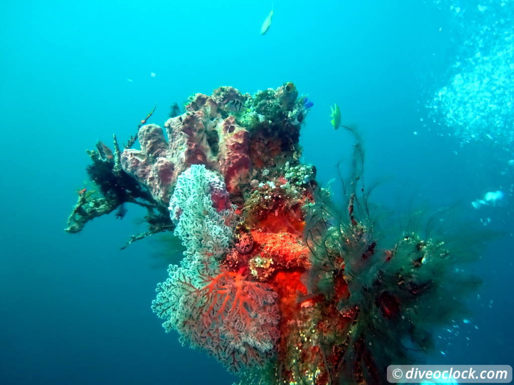 Tulamben Diving the Famous Liberty Wreck on Bali Indonesia  Bali Tulamben 27
