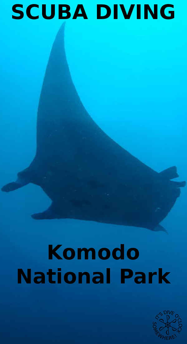 Komodo - The Best Dive Sites from Labuan Bajo (Flores, Indonesia)