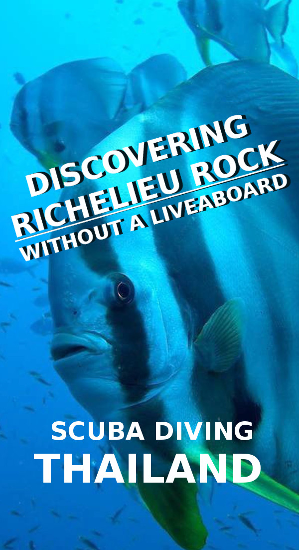 Richelieu Rock - Discover The Best Dive Site of Thailand Without a Liveaboard