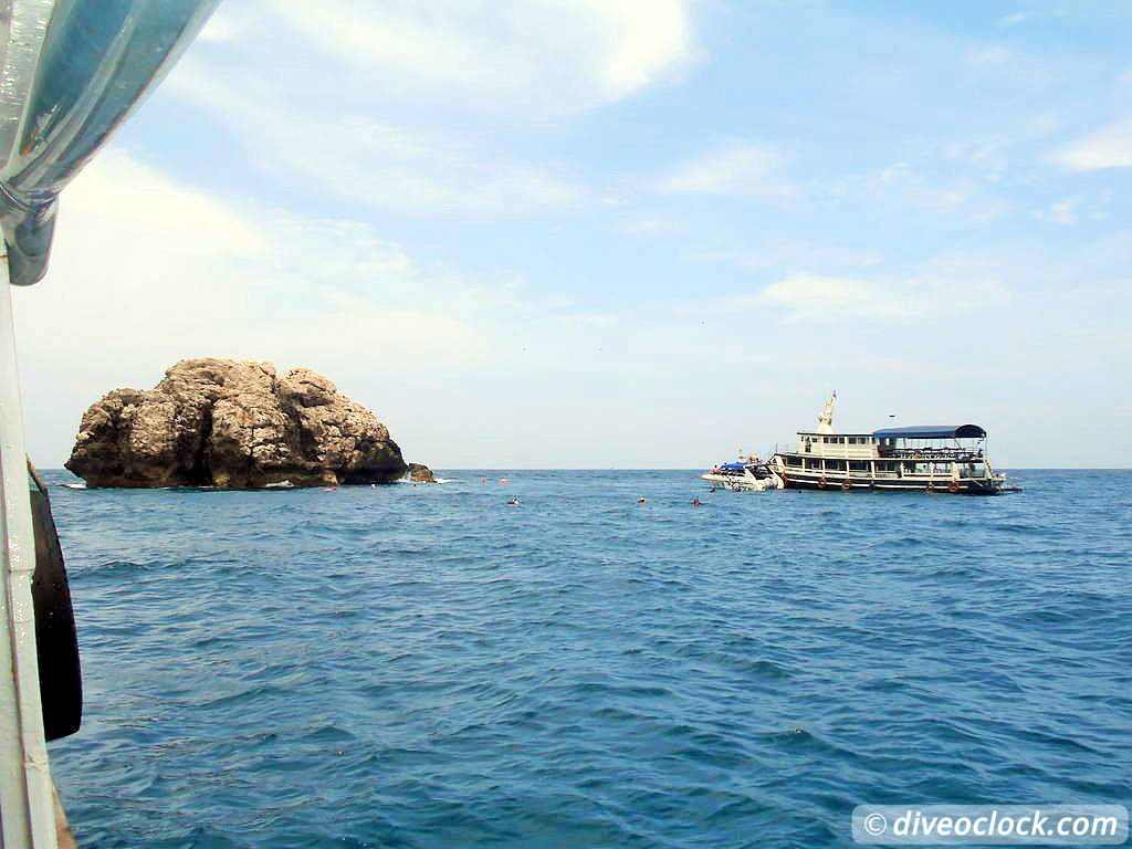 Sail Rock Koh Tao  The Best Dive Spot in the Gulf of Thailand  Sail Rock Thailand Diveoclock 42