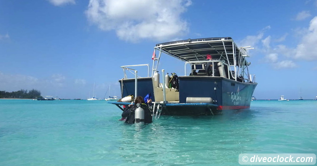 Tobago Exploring Diving Hot Spot Speyside at High Speed  Caribbean Barbados Gspot 