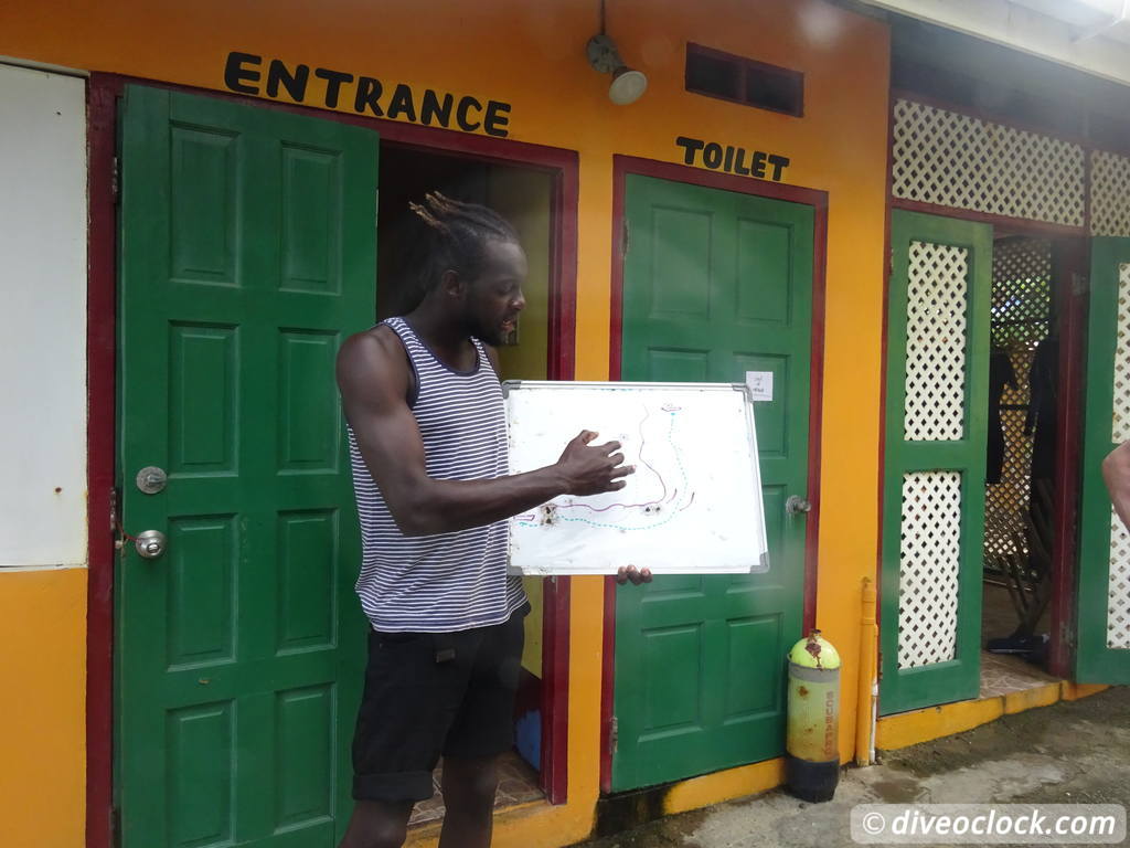 Exploring Tobago S Speyside at high speed Tobago Speyside Diveoclock 5