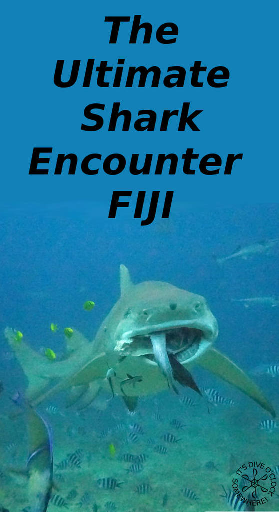 Beqa Lagoon - The Ultimate Shark Encounter in Fiji!