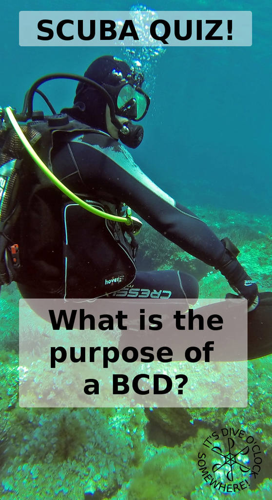 SCUBA QUIZ: What is the purpose of a BCD?
