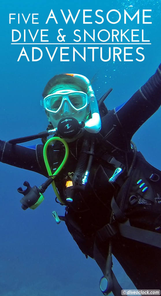 5 Awesome Dive & Snorkel Adventures around the World!