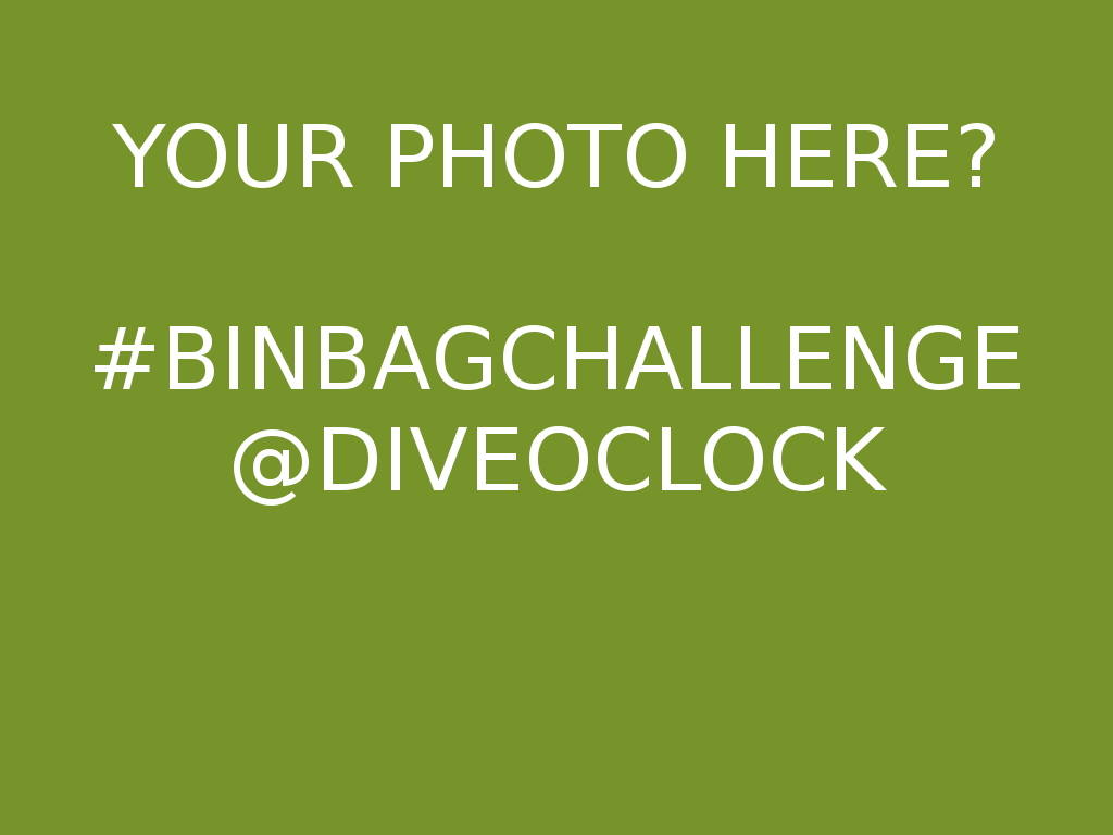 The Binbagchallenge Are You Ready to Show Your Love for The Ocean by Accepting this Challenge Today? Binbagchallenge 5