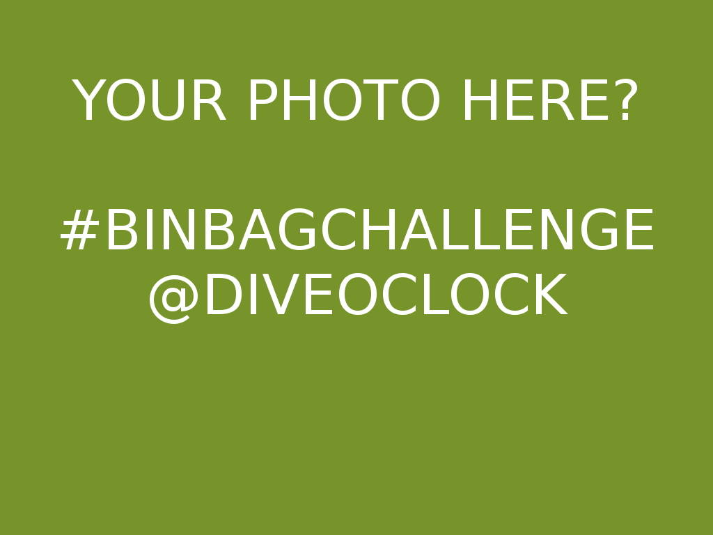 The Binbagchallenge Are You Ready to Show Your Love for The Ocean by Accepting this Challenge Today? Binbagchallenge 5