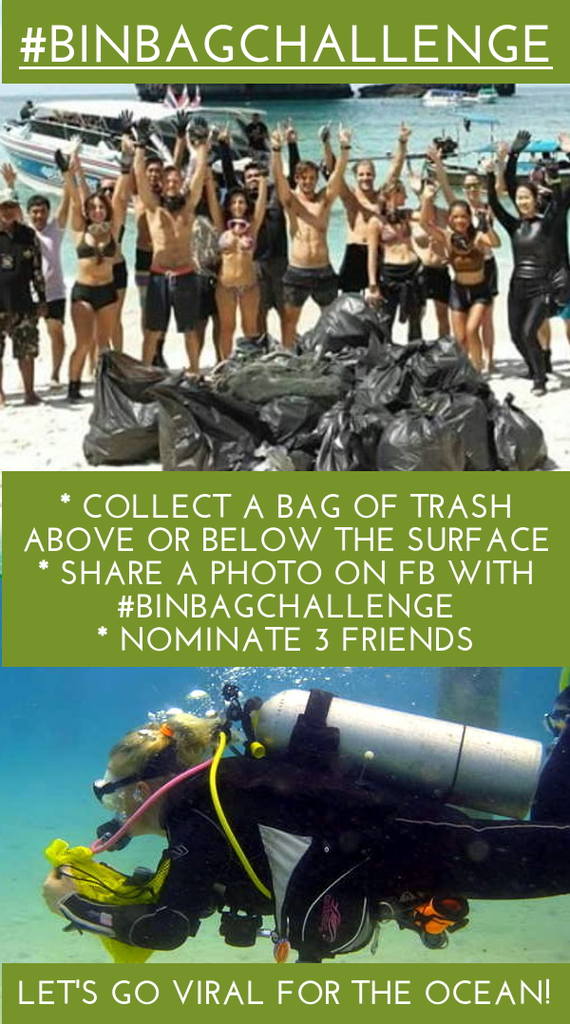 The #binbagchallenge - Are You Ready to Show Your Love for The Ocean by Accepting this Challenge Today?