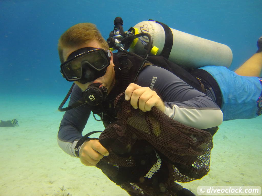 The Binbagchallenge Are You Ready to Show Your Love for The Ocean by Accepting this Challenge Today? Bonaire Underwater Clean Up 18