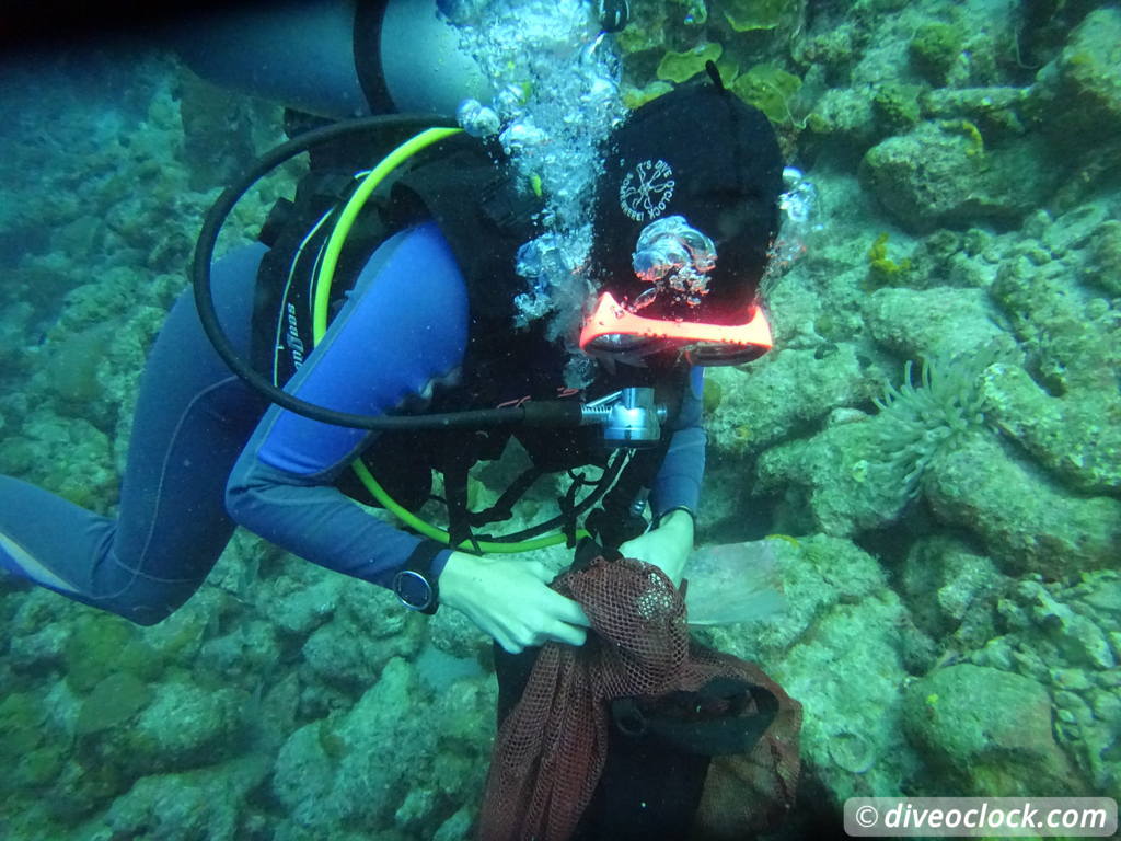 The Binbagchallenge Are You Ready to Show Your Love for The Ocean by Accepting this Challenge Today? Bonaire Underwater Clean Up 25