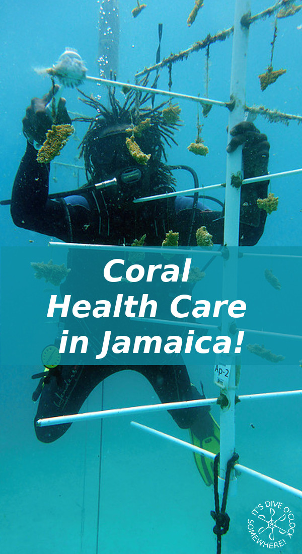 Passionate Coral Health Care in Jamaica