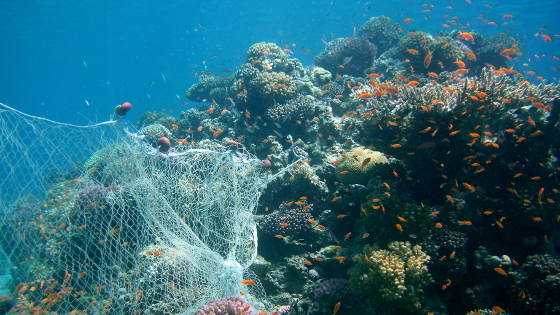 Recycling Old Fishing Nets Into Beautiful Carpet Tile Ghost Fishing Diveoclock