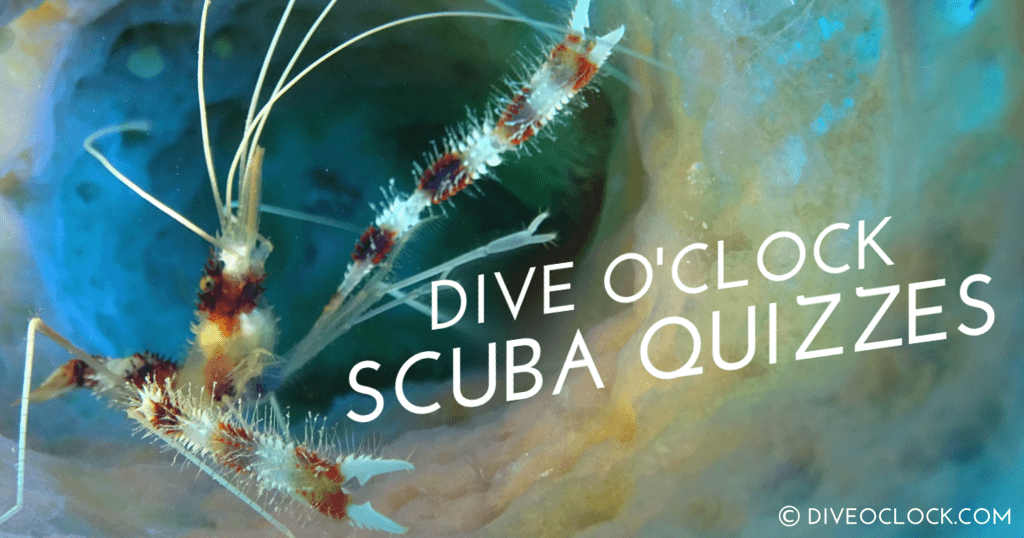 scuba_quiz