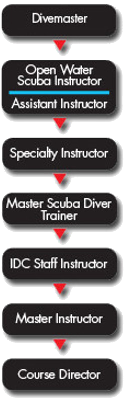 PADI Course Director Divemaster to dive instructor