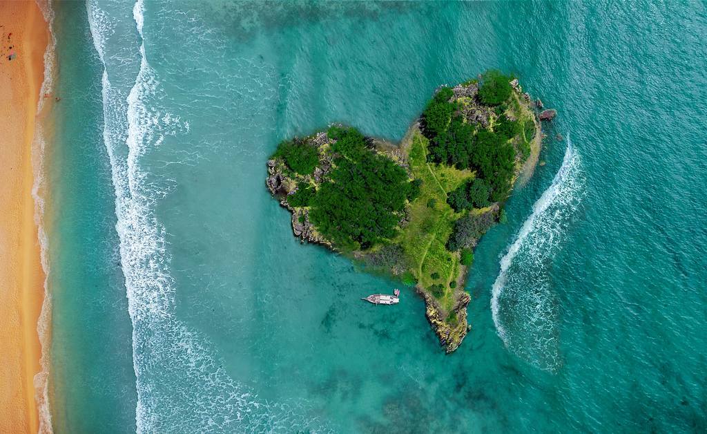 heart island scuba diving marine conservation