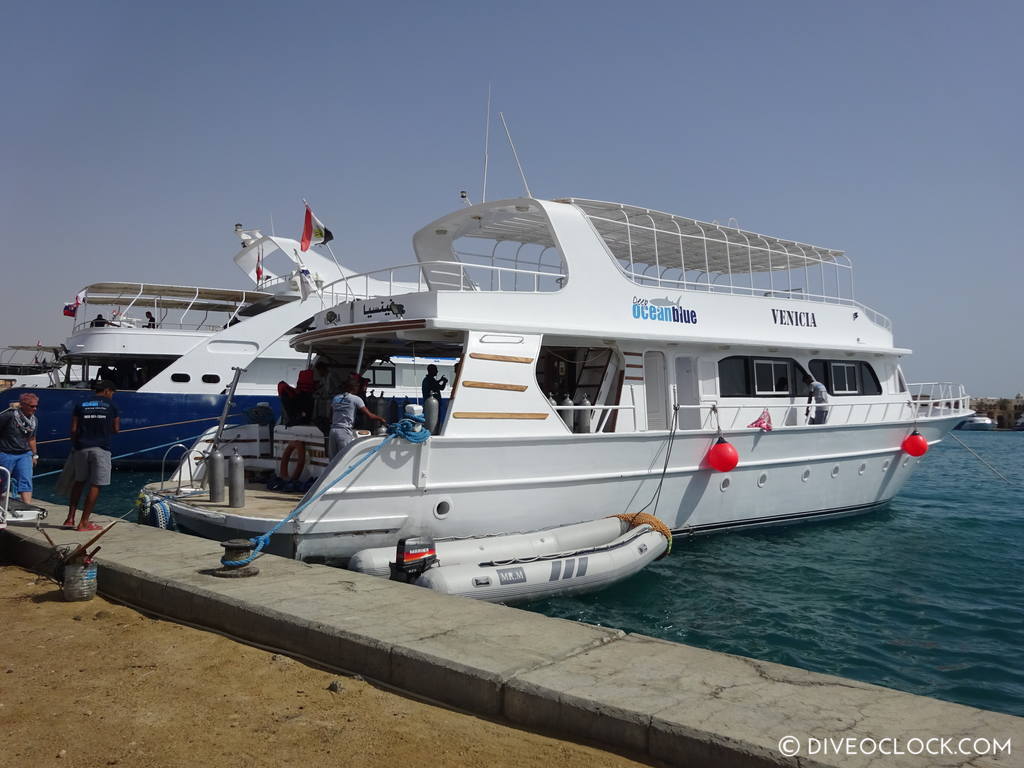 diveoclock scuba diving egypt red sea marsa alam el quseir deep ocean blue