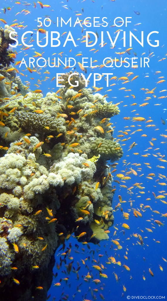 50 Images of SCUBA Diving around El Quseir, Marsa Alam, South of Egypt
