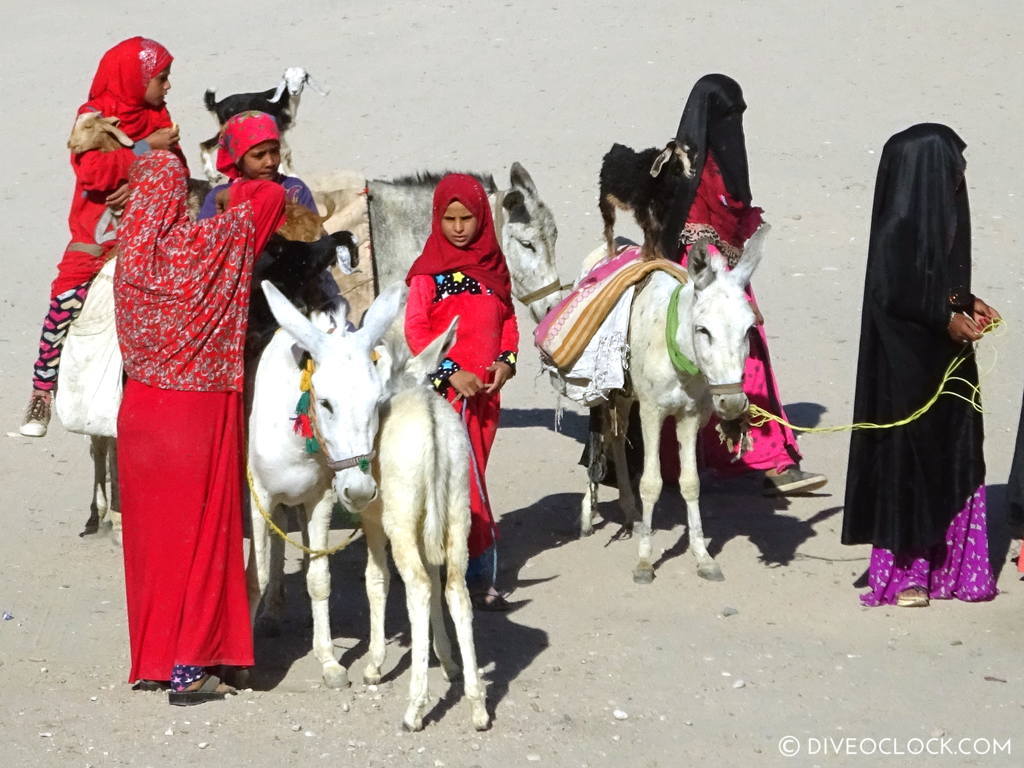 uxor Day Trip From Marsa Alam, Exploring Ancient Egypt