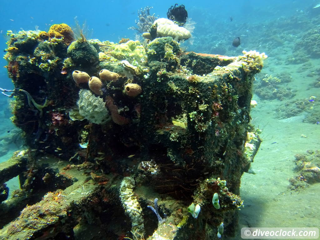 Amed One of Bali S Best Dive Destinations Indonesia  Bali Amed 21