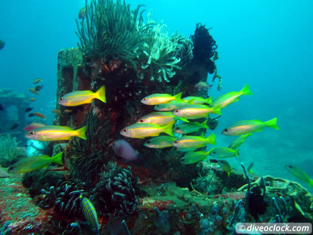 Amed One of Bali S Best Dive Destinations Indonesia  Bali Amed 33