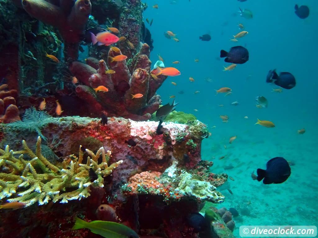 Amed One of Bali S Best Dive Destinations Indonesia  Bali Amed 34