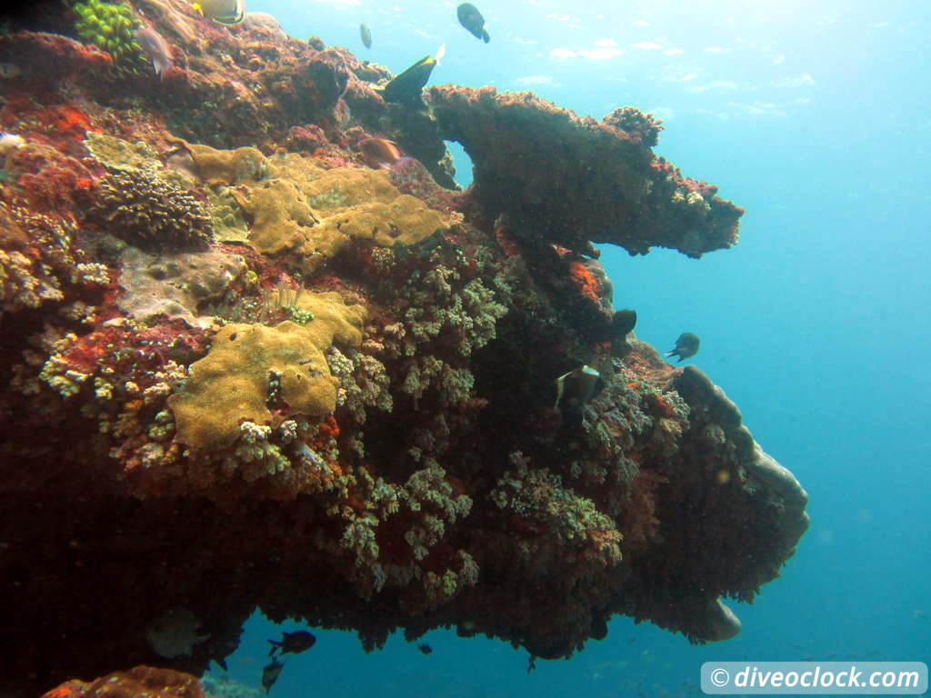 Nusa Penida SCUBA Diving with Manta Rays and Mola Molas Bali Indonesia  Bali Nusa Penida 28