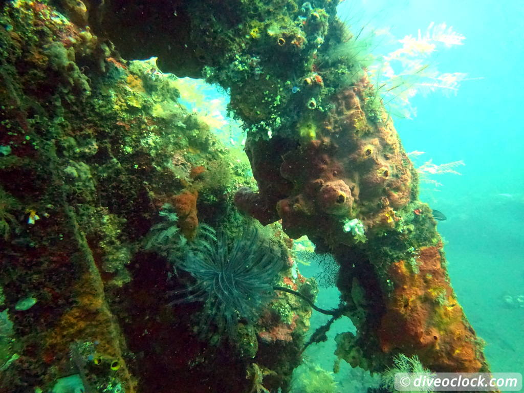 Tulamben Diving the Famous Liberty Wreck on Bali Indonesia  Bali Tulamben 38