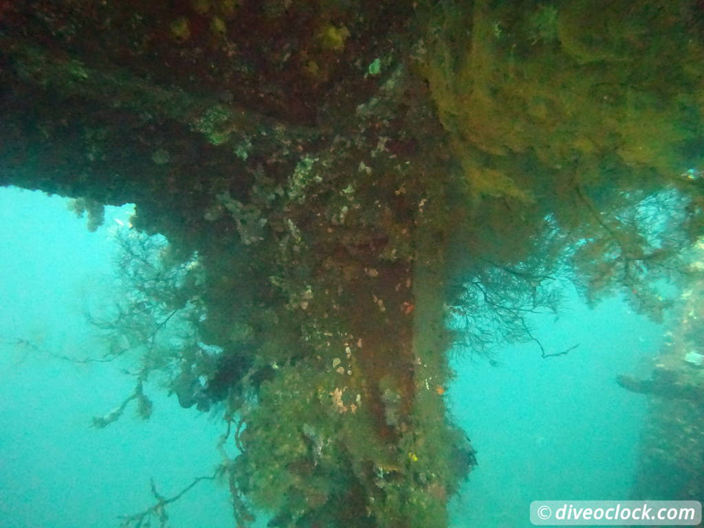 Tulamben Diving the Famous Liberty Wreck on Bali Indonesia  Bali Tulamben 41