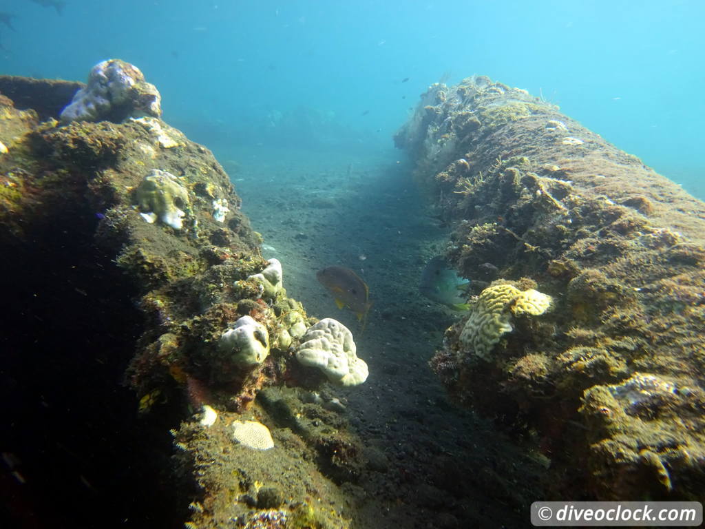 Tulamben Diving the Famous Liberty Wreck on Bali Indonesia  Bali Tulamben 44
