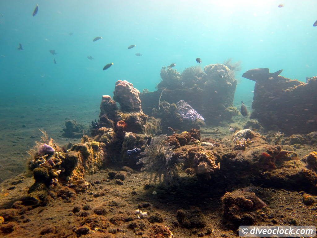 Tulamben Diving the Famous Liberty Wreck on Bali Indonesia  Bali Tulamben 46