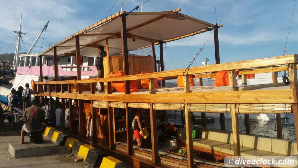 Komodo The Best Dive Sites from Labuan Bajo Flores Indonesia  Mantarheiboat