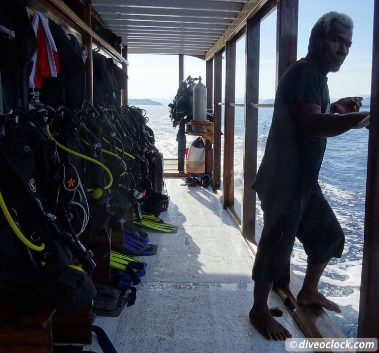 Komodo The Best Dive Sites from Labuan Bajo Flores Indonesia  Indonesia Komodo Diveoclock 70