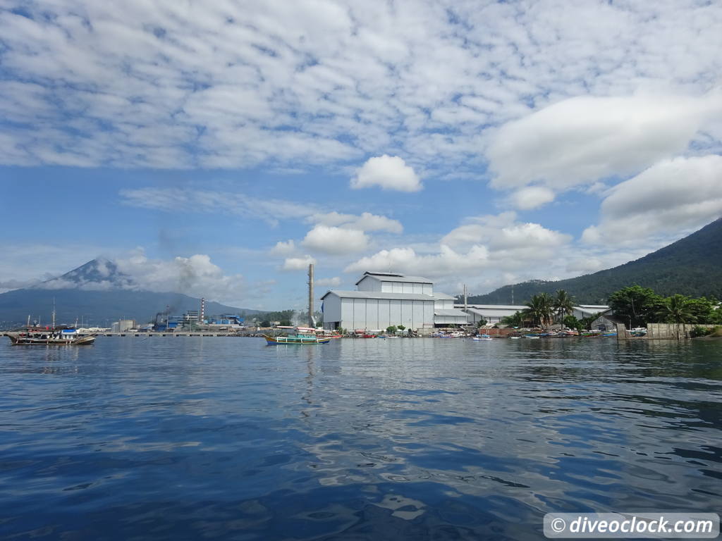 Lembeh The Best Muck Diving in The World Sulawesi Indonesia  Indonesia Lembeh Diveoclock 29