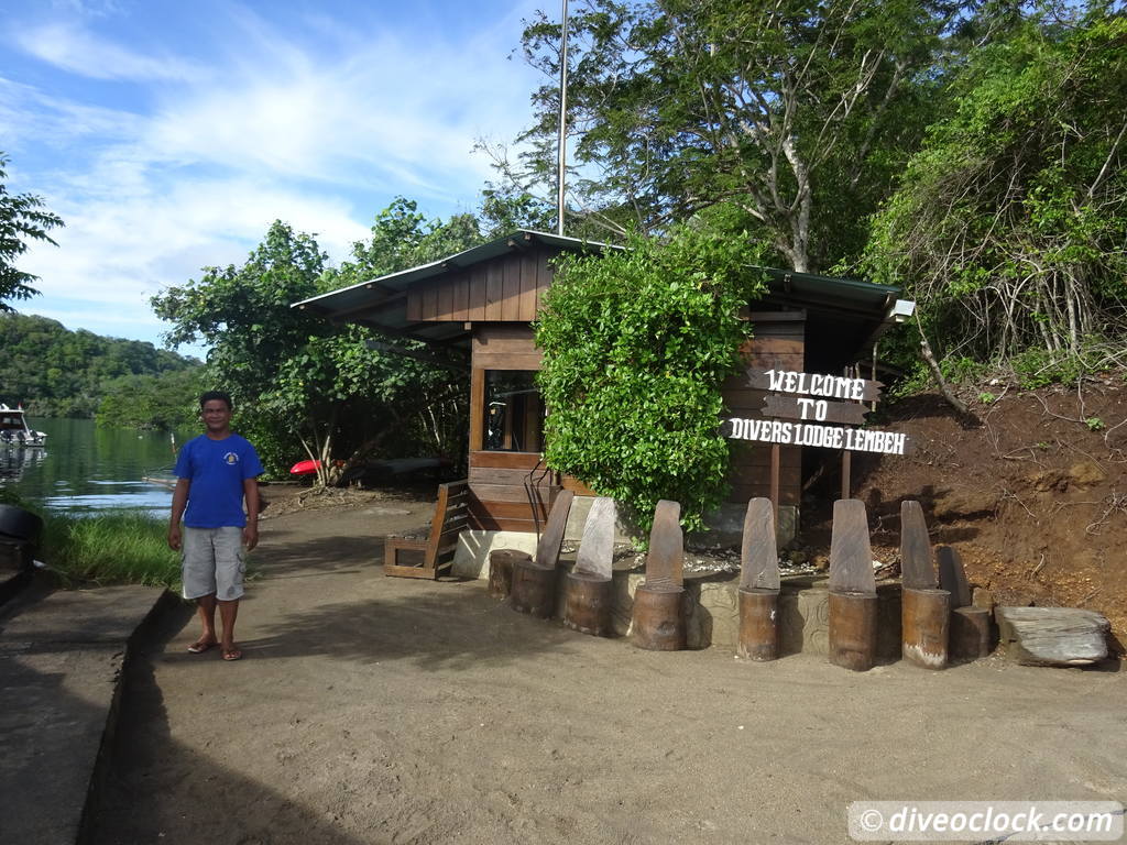 Lembeh The Best Muck Diving in The World Sulawesi Indonesia  Indonesia Lembeh Diveoclock 3