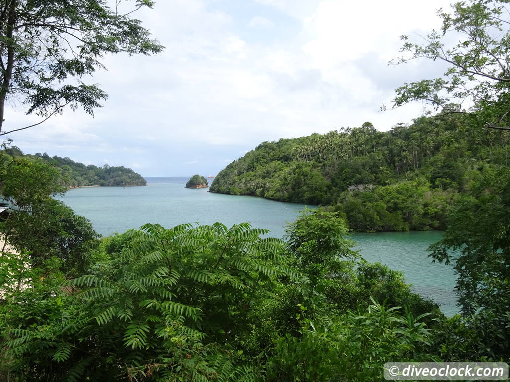 Lembeh The Best Muck Diving in The World Sulawesi Indonesia  Indonesia Lembeh Diveoclock 40