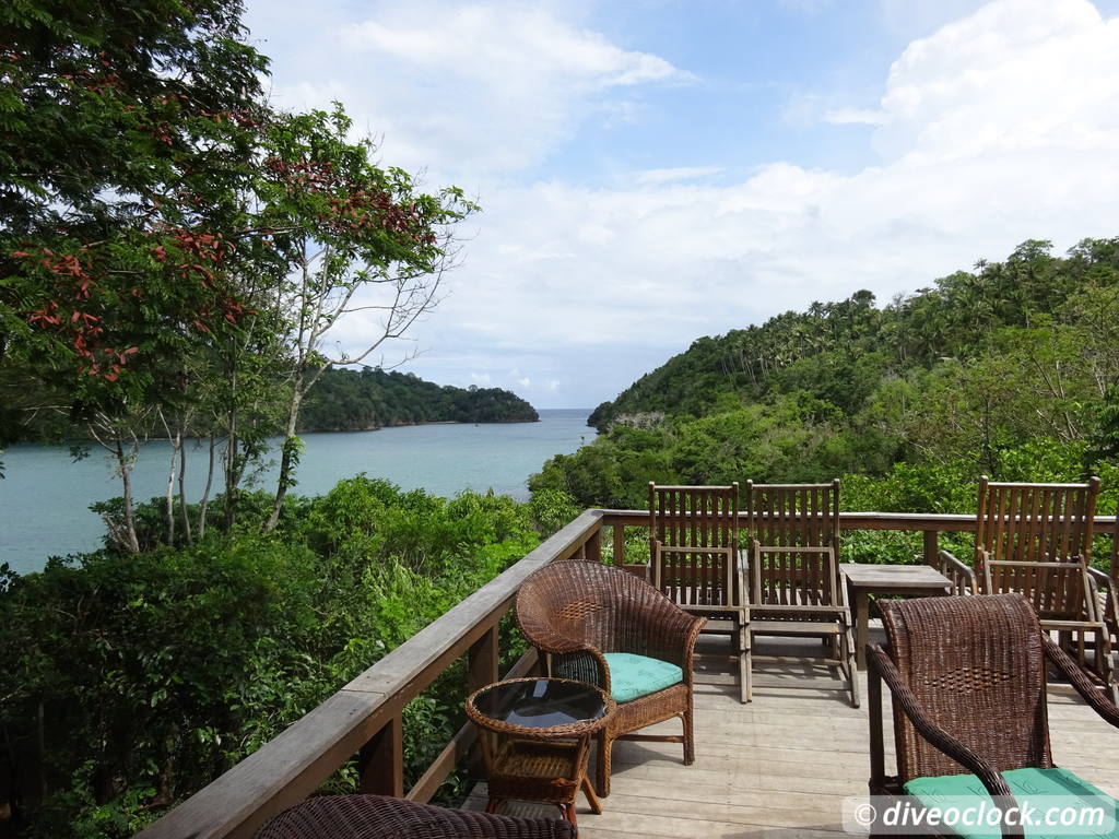 Lembeh The Best Muck Diving in The World Sulawesi Indonesia  Indonesia Lembeh Diveoclock 41