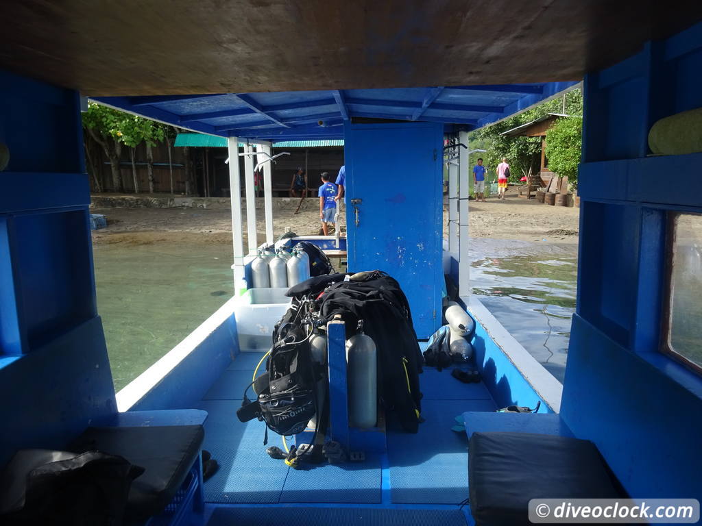 Lembeh The Best Muck Diving in The World Sulawesi Indonesia  Indonesia Lembeh Diveoclock 5