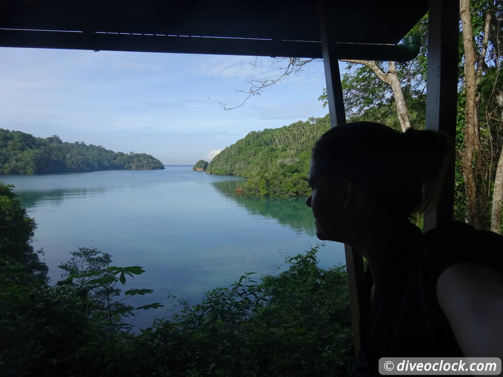 Lembeh The Best Muck Diving in The World Sulawesi Indonesia  Indonesia Lembeh Diveoclock 54