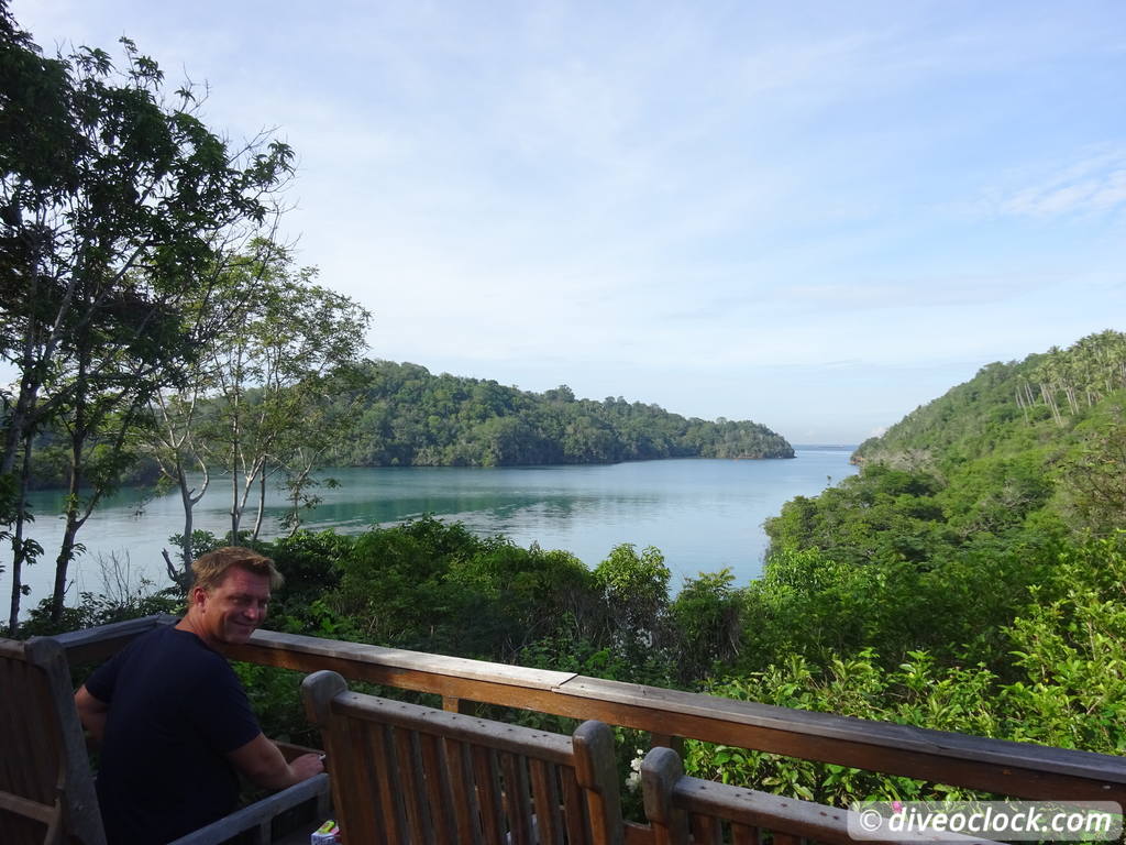 Lembeh The Best Muck Diving in The World Sulawesi Indonesia  Indonesia Lembeh Diveoclock 57