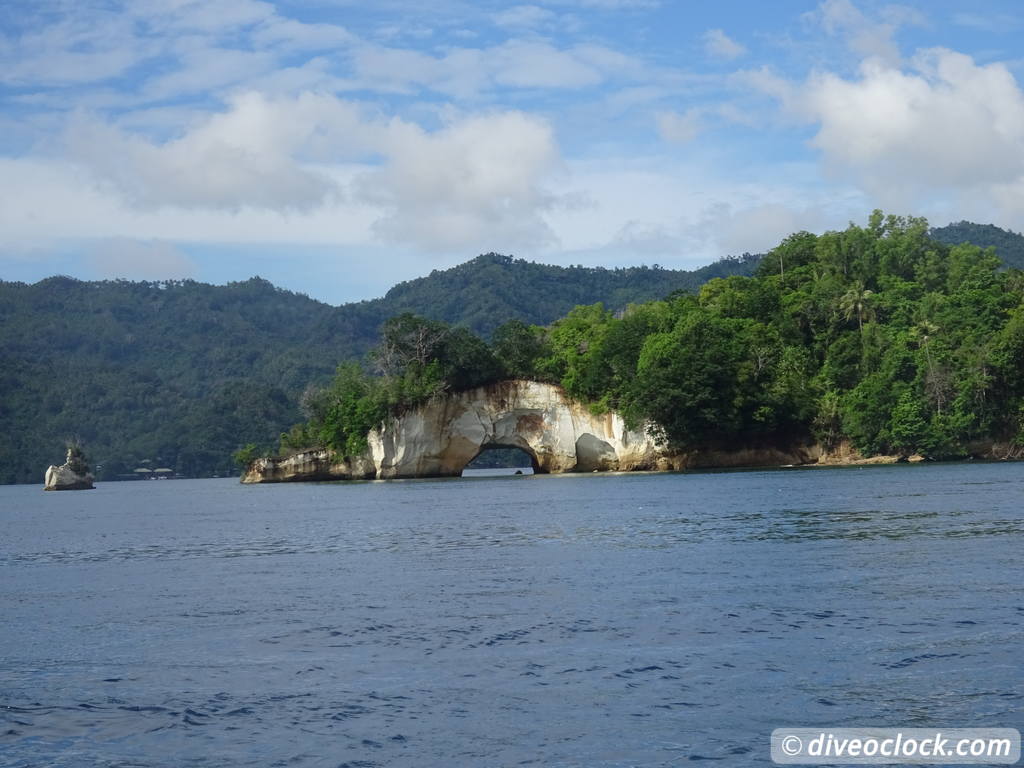 Lembeh The Best Muck Diving in The World Sulawesi Indonesia  Indonesia Lembeh Diveoclock 6