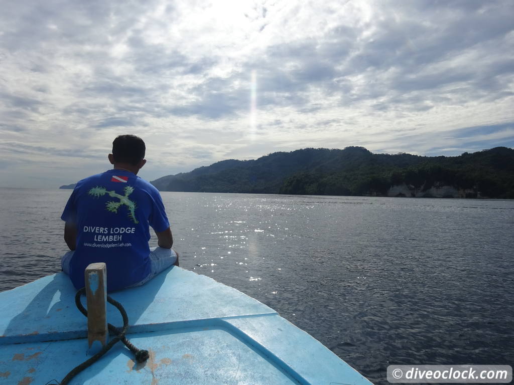 Lembeh The Best Muck Diving in The World Sulawesi Indonesia  Indonesia Lembeh Diveoclock 7