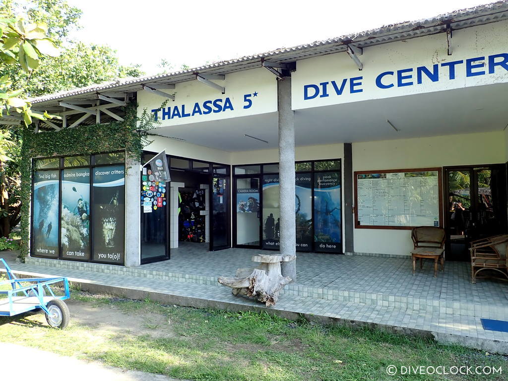north sulawesi scuba diving