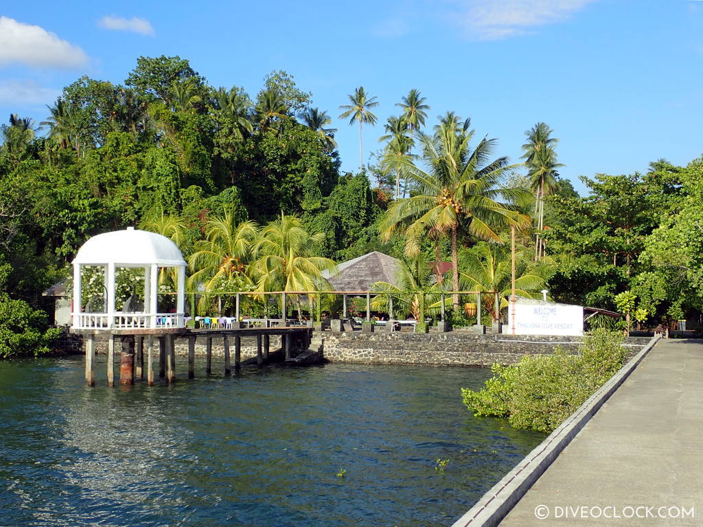 north sulawesi scuba diving