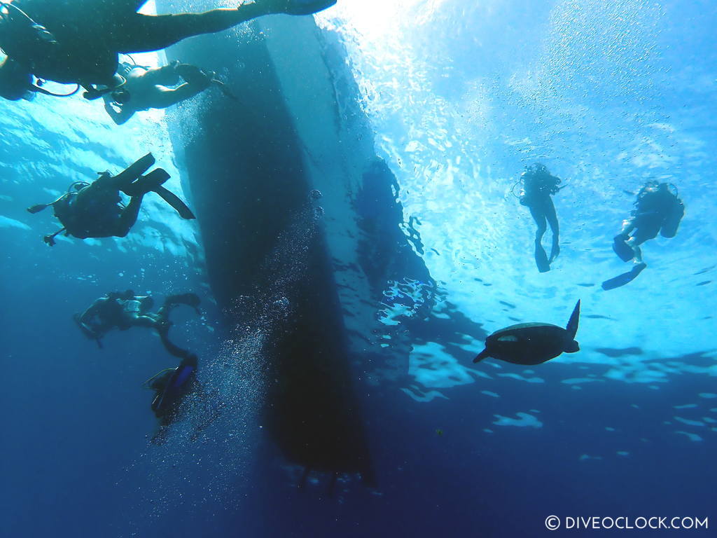 north sulawesi scuba diving