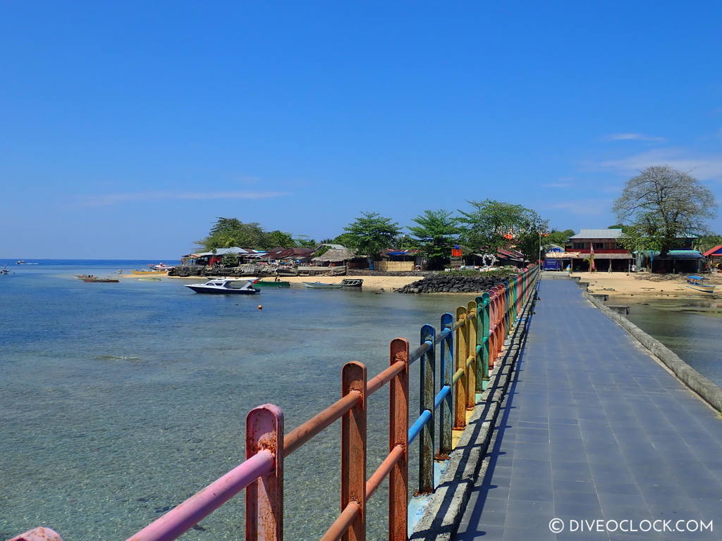 north sulawesi scuba diving