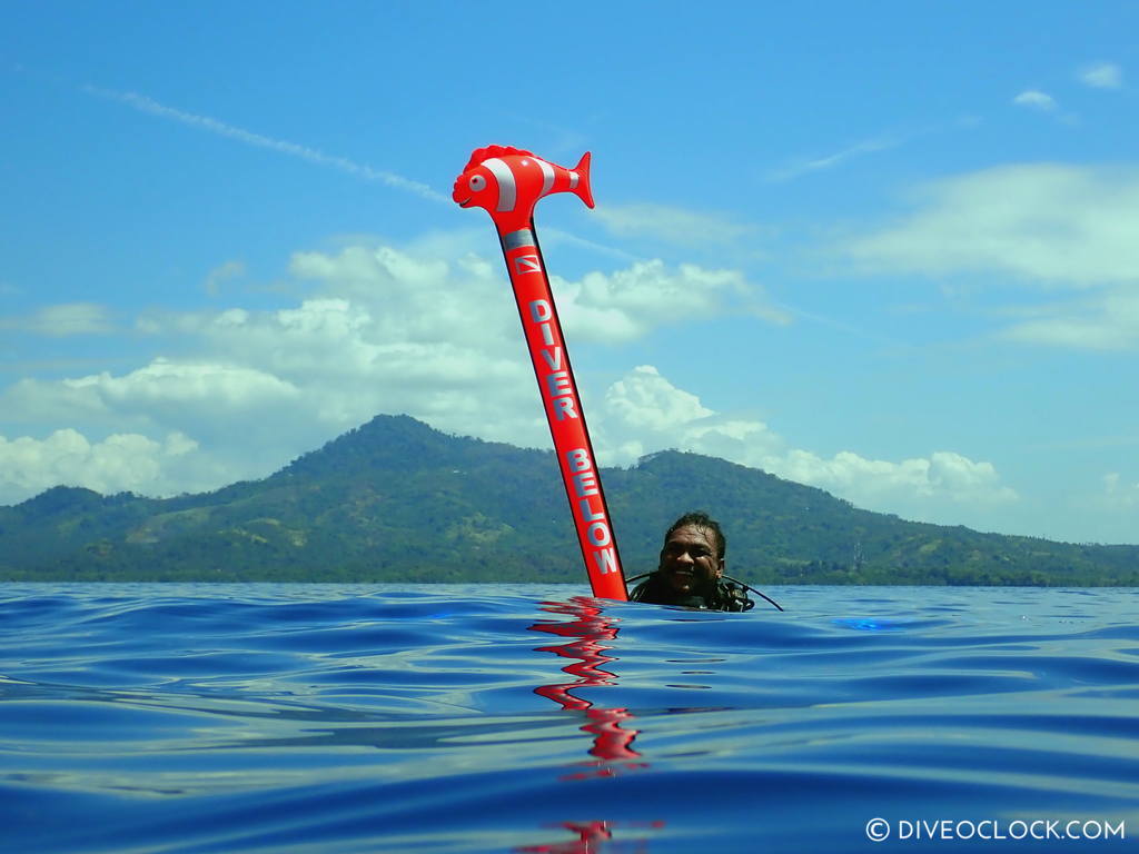 north sulawesi scuba diving